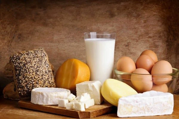 تخممرغ و لبنیات